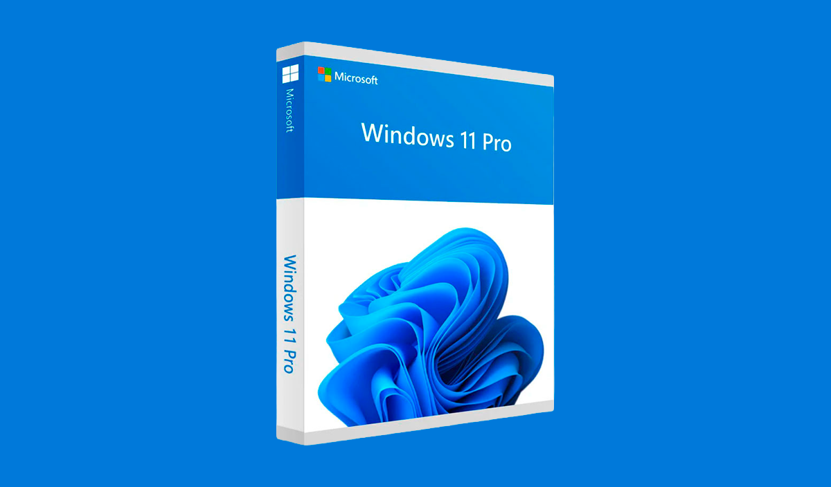 Windows 11 Pro